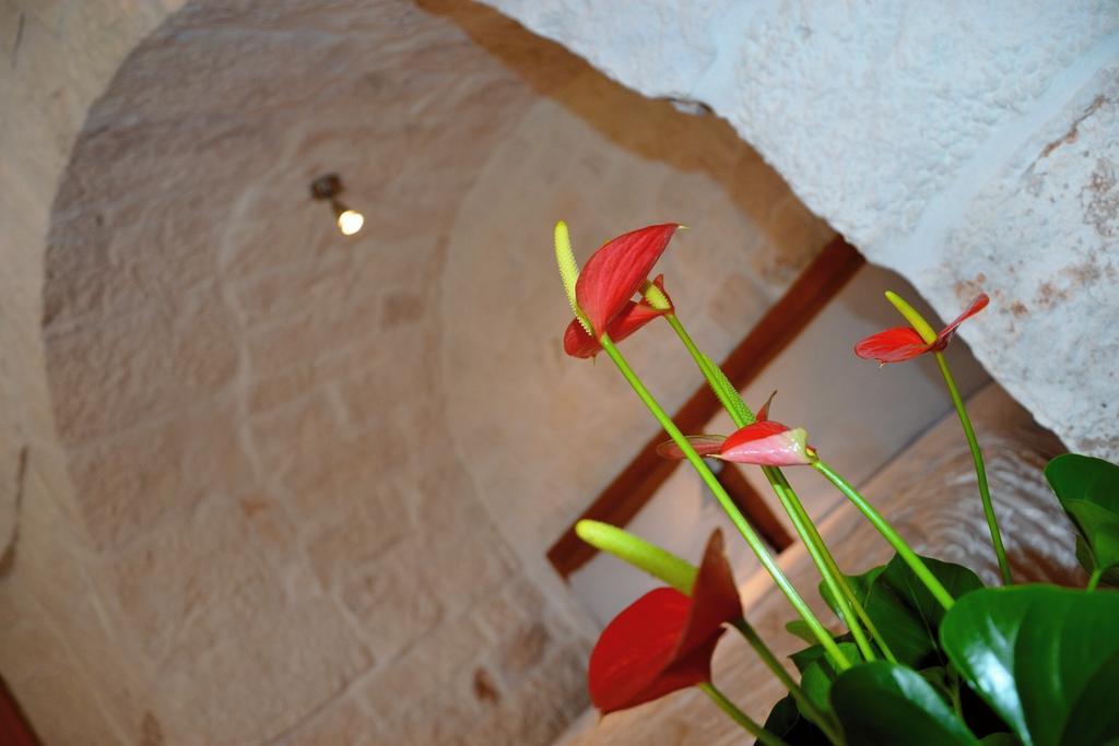 Il Trullo Del Mirto Villa Selva Di Fasano Bagian luar foto